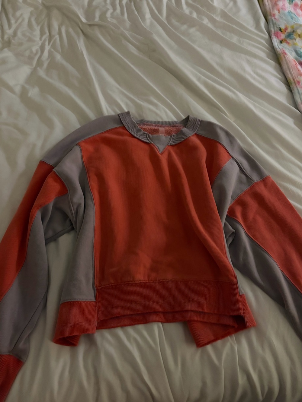 Free People Sweatshirt